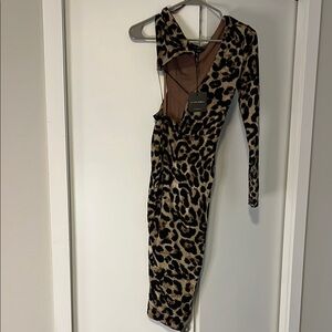 Chic Leopard Print Dress